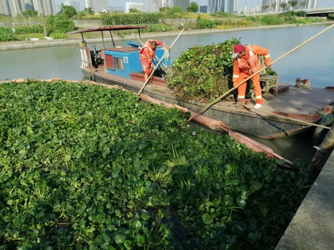 1754535880484881.jpg 640 (4).jpg