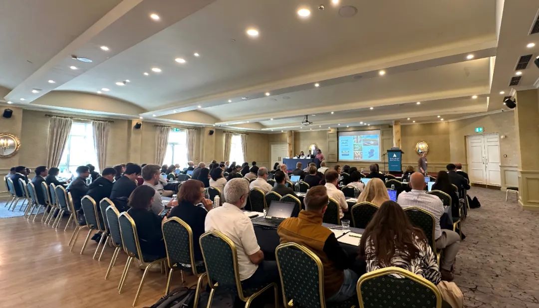 1754881493866696.jpg 640 (8).jpg